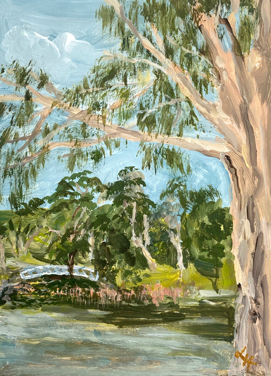 Riverway Gums Original Painting