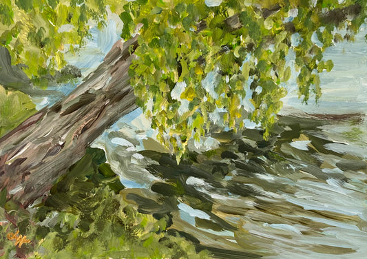 River Reflections Original Artwork