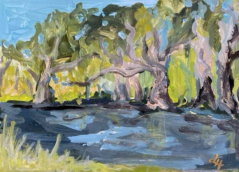 River Gums