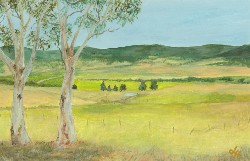 Cooma Print