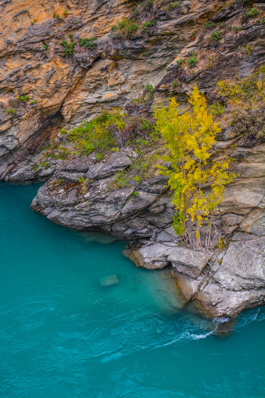 Teal Waters Photographic Print