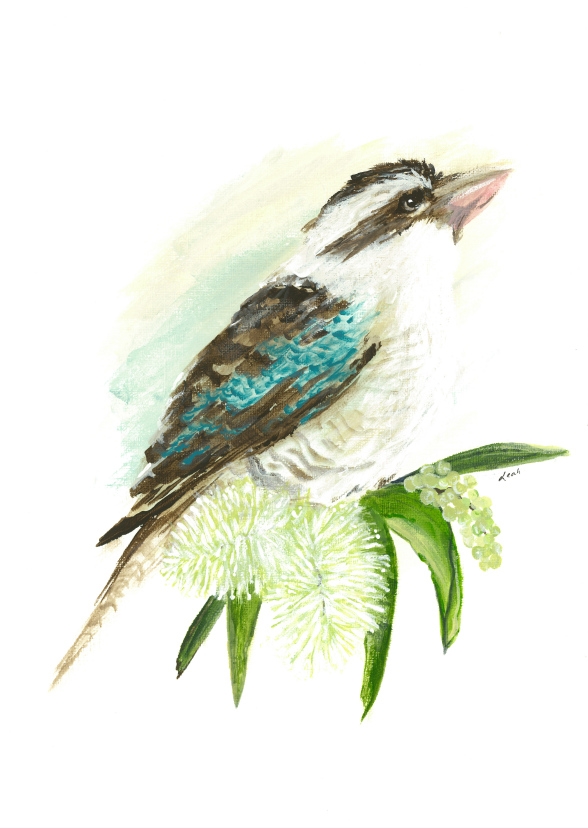 Kookaburra Gum Blossom Print