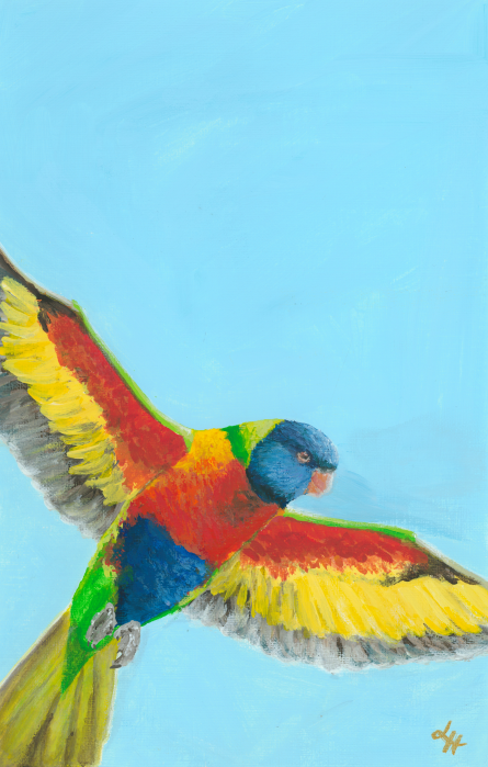 Rainbow Lorikeet Print